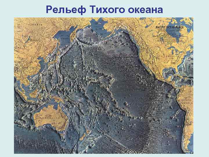 Рельеф Тихого океана 