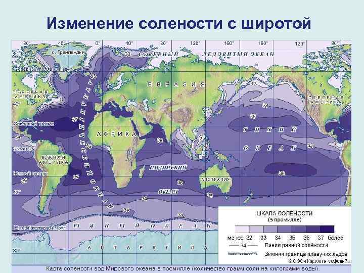 Изменение солености с широтой 