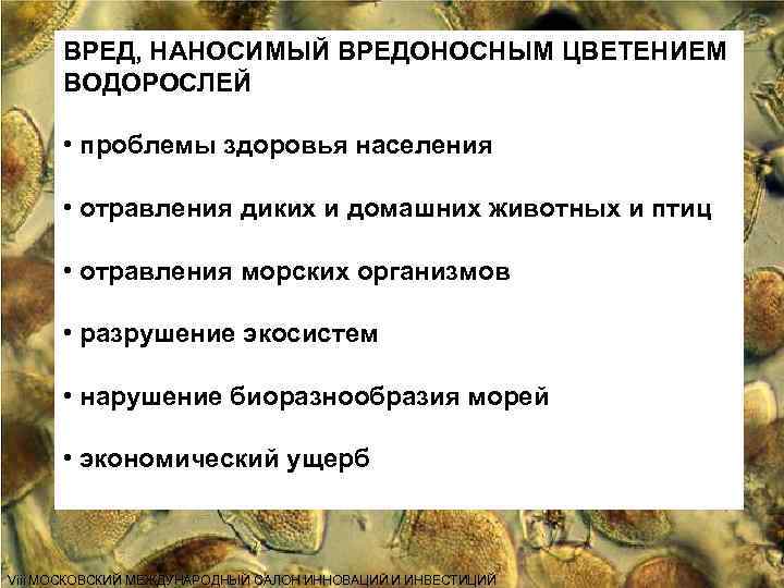 ВРЕД, НАНОСИМЫЙ ВРЕДОНОСНЫМ ЦВЕТЕНИЕМ ВОДОРОСЛЕЙ • проблемы здоровья населения • отравления диких и домашних