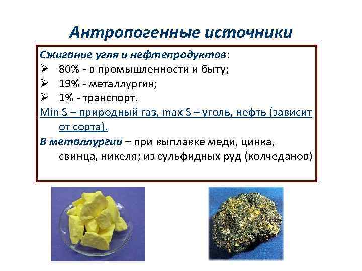 Антропогенные источники Сжигание угля и нефтепродуктов: Ø 80% - в промышленности и быту; Ø