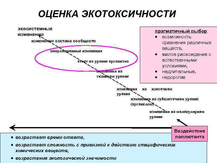 ОЦЕНКА ЭКОТОКСИЧНОСТИ экосистемные изменения изменение состава сообществ популяционные изменения ответ на уровне организма изменения