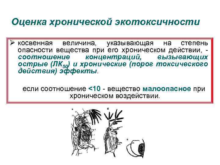 Оценка хронической экотоксичности Ø косвенная величина, указывающая на степень опасности вещества при его хроническом