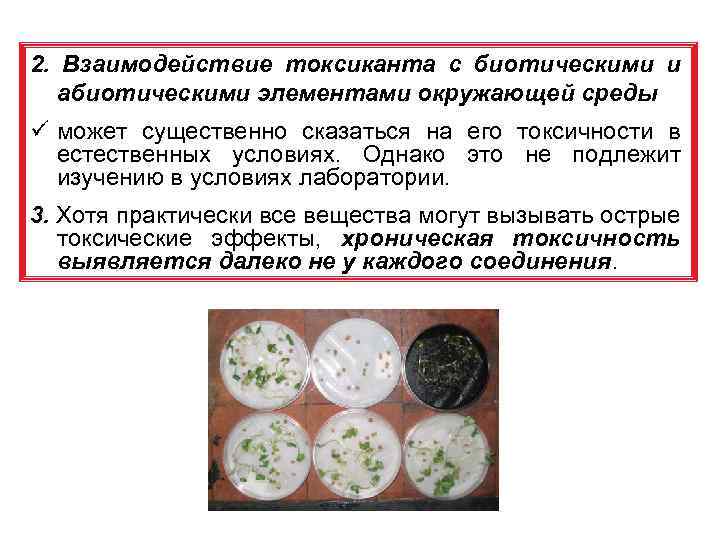 2. Взаимодействие токсиканта с биотическими и абиотическими элементами окружающей среды ü может существенно сказаться