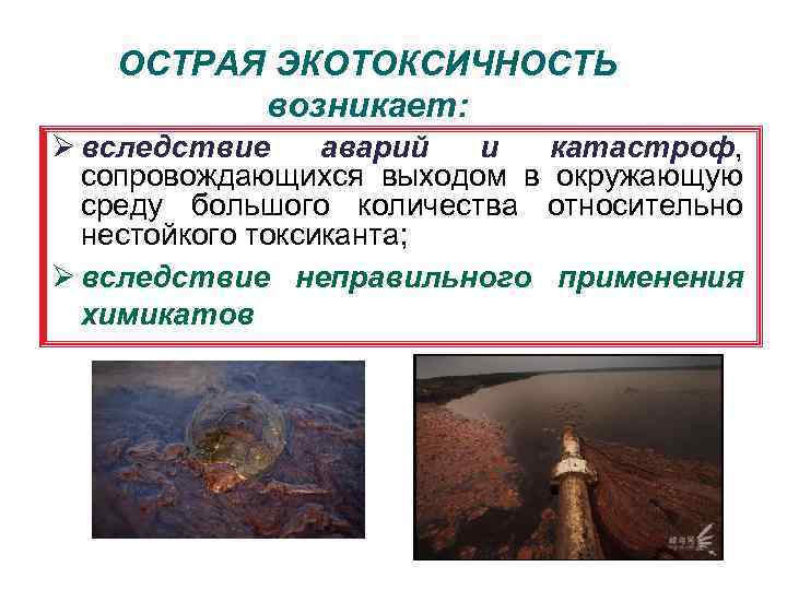 ОСТРАЯ ЭКОТОКСИЧНОСТЬ возникает: Ø вследствие аварий и катастроф, сопровождающихся выходом в окружающую среду большого