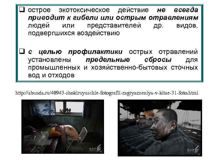 q острое экотоксическое действие не всегда приводит к гибели или острым отравлениям людей или