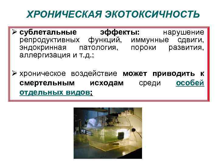 ХРОНИЧЕСКАЯ ЭКОТОКСИЧНОСТЬ Ø сублетальные эффекты: нарушение репродуктивных функций, иммунные сдвиги, эндокринная патология, пороки развития,