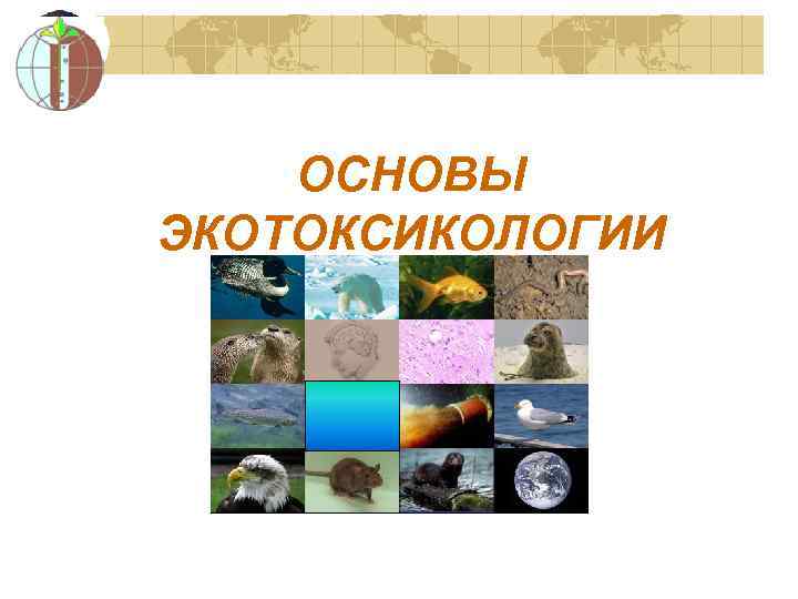 ОСНОВЫ ЭКОТОКСИКОЛОГИИ 