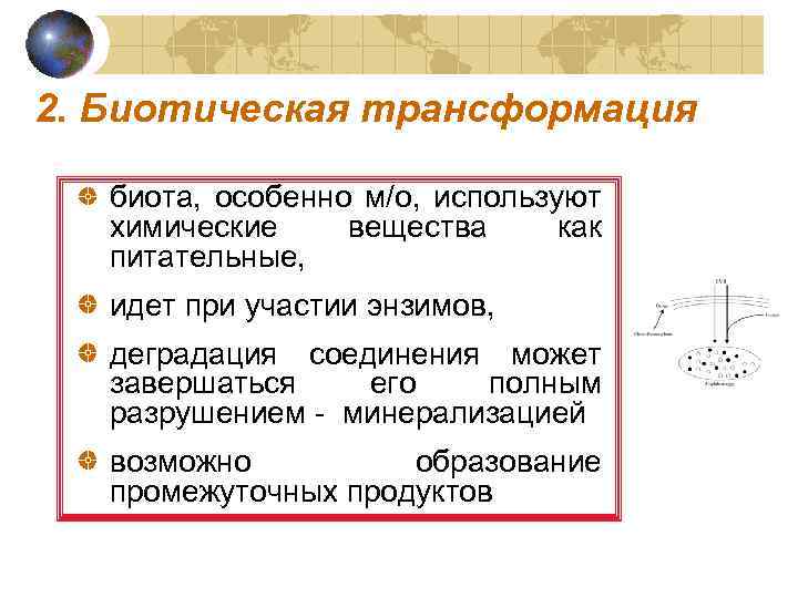 2. Биотическая трансформация биота, особенно м/о, используют химические вещества как питательные, идет при участии
