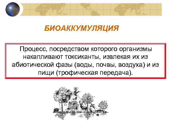 БИОАККУМУЛЯЦИЯ Процесс, посредством которого организмы накапливают токсиканты, извлекая их из абиотической фазы (воды, почвы,