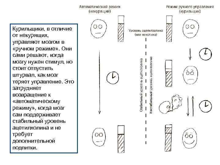 Курильщики, в отличие от некурящих, управляют мозгом в «ручном режиме» . Они сами решают,