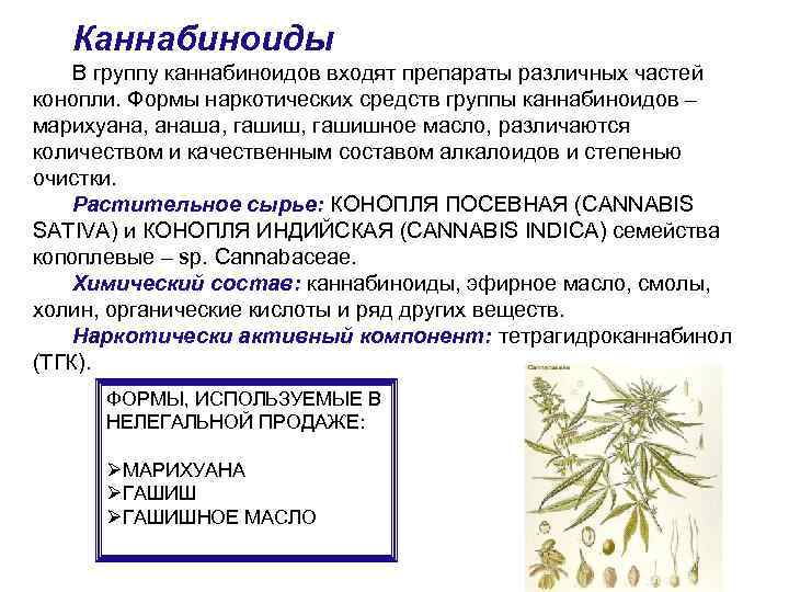 Каннабиноиды В группу каннабиноидов входят препараты различных частей конопли. Формы наркотических средств группы каннабиноидов