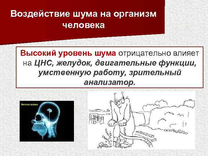 Воздействие шума на организм человека Высокий уровень шума отрицательно влияет на ЦНС, желудок, двигательные