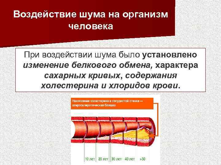 Воздействие шума на организм человека При воздействии шума было установлено изменение белкового обмена, характера