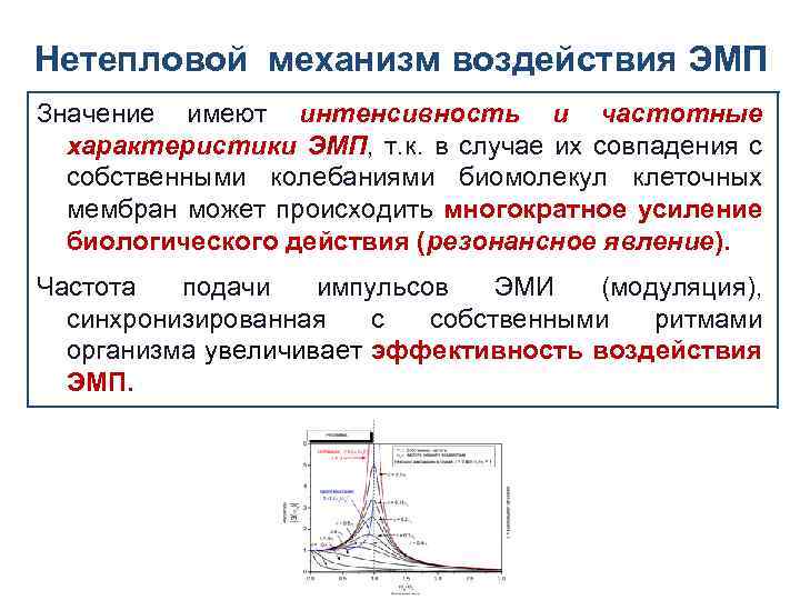 Нетепловой механизм воздействия ЭМП Значение имеют интенсивность и частотные характеристики ЭМП, т. к. в