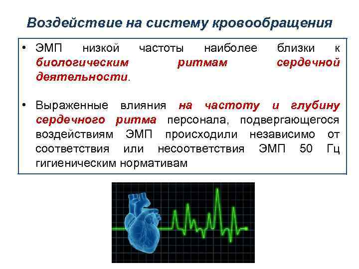 Воздействие на систему кровообращения • ЭМП низкой частоты наиболее биологическим ритмам деятельности. близки к