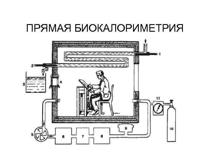 ПРЯМАЯ БИОКАЛОРИМЕТРИЯ 