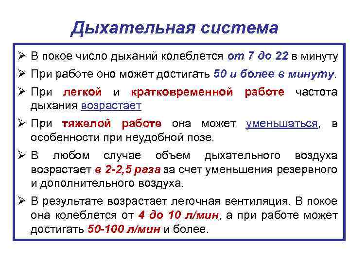 Дыхательная система Ø В покое число дыханий колеблется от 7 до 22 в минуту