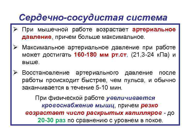 Сердечно-сосудистая система Ø При мышечной работе возрастает артериальное давление, причем больше максимальное. Ø Максимальное