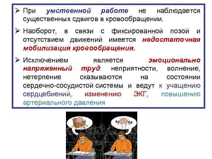 Ø При умственной работе не наблюдается существенных сдвигов в кровообращении. Ø Наоборот, в связи