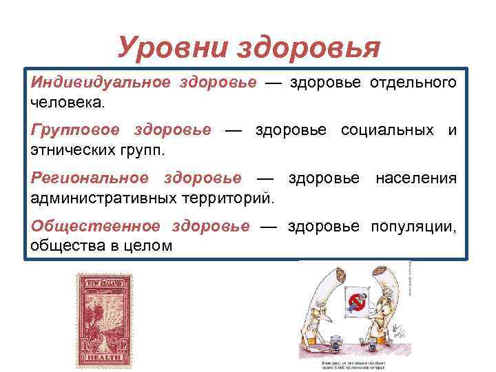 Уровни здоровья Индивидуальное здоровье — здоровье отдельного человека. Групповое здоровье — здоровье социальных и