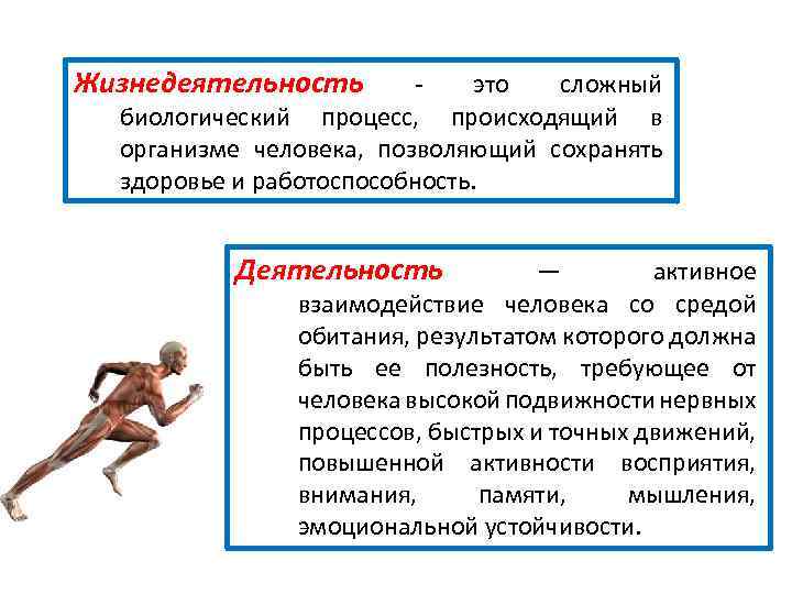 Подвижность нервных процессов характеризуется