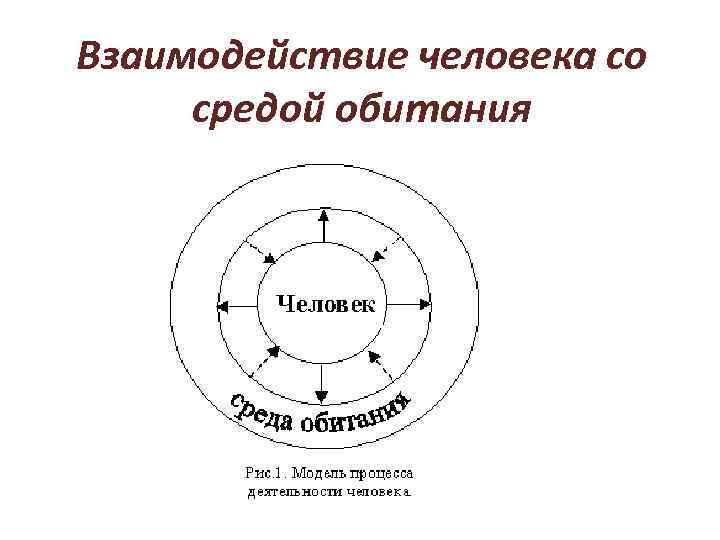 Взаимодействие человека со средой обитания 