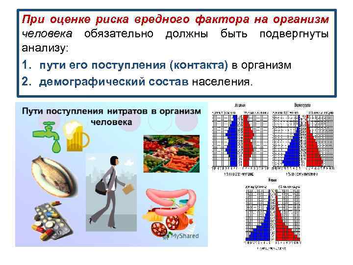 При оценке риска вредного фактора на организм человека обязательно должны быть подвергнуты анализу: 1.