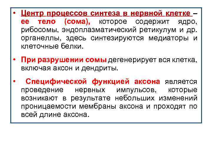  • Центр процеccoв синтеза в нервной клетке – ее тело (сома), которое содержит