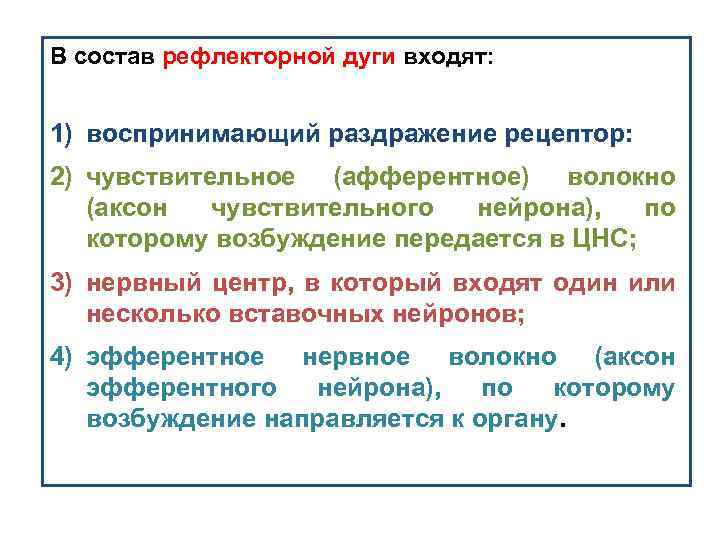 В состав рефлекторной дуги входят: 1) воспринимающий раздражение рецептор: 2) чувствительное (афферентное) волокно (аксон