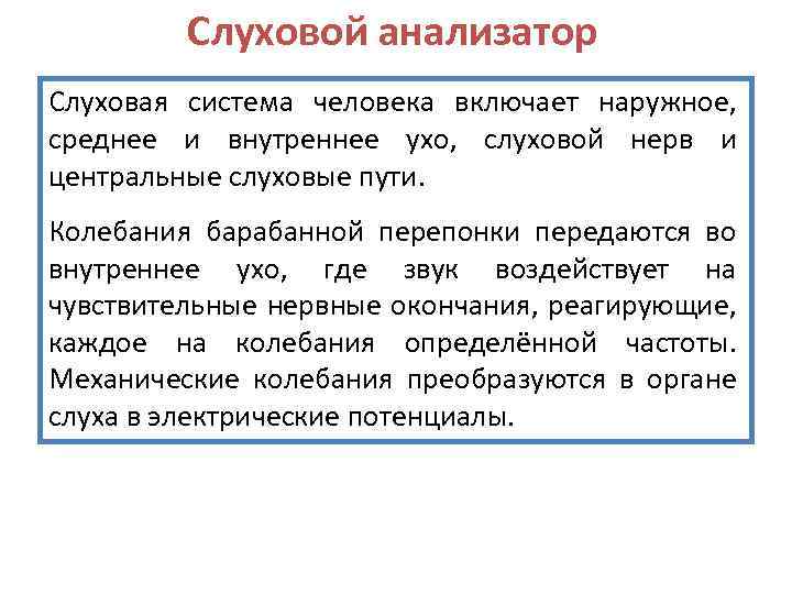 Слуховой анализатор Слуховая система человека включает наружное, среднее и внутреннее ухо, слуховой нерв и
