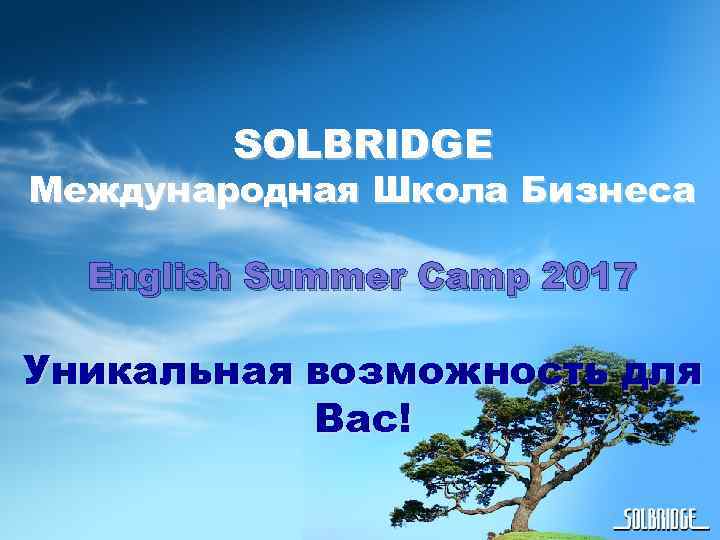 SOLBRIDGE Международная Школа Бизнеса English Summer Camp 2017 Уникальная возможность для Вас! 