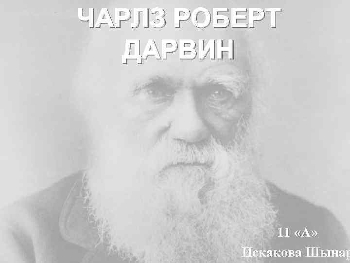 ЧАРЛЗ РОБЕРТ ДАРВИН 11 «А» Искакова Шынар 