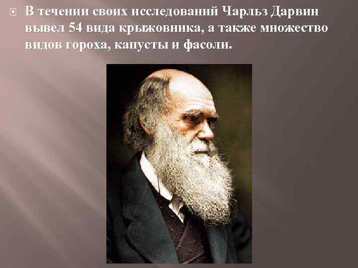 В течении своих исследований Чарльз Дарвин вывел 54 вида крыжовника, а также множество