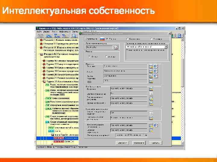 Интеллектуальная собственность 
