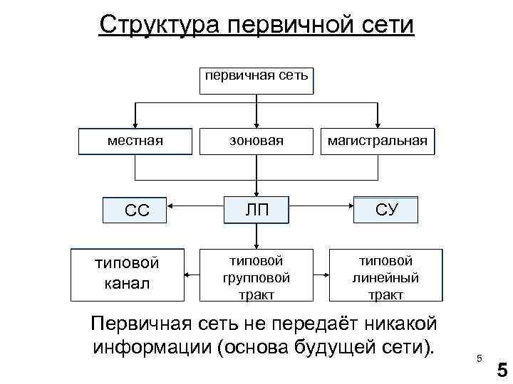 Первичная сеть