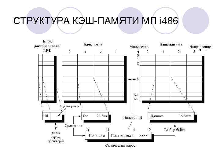 СТРУКТУРА КЭШ-ПАМЯТИ МП i 486 