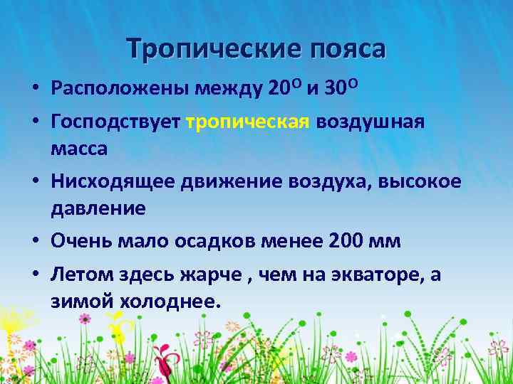 Тропические пояса • Расположены между 20 О и 30 О • Господствует тропическая воздушная