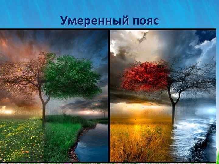 Умеренный пояс 