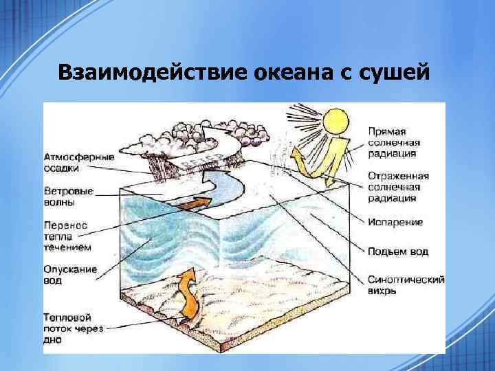 Взаимодействие водного