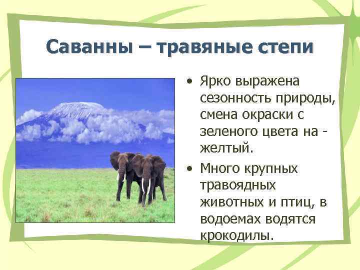 Саванны – травяные степи • Ярко выражена сезонность природы, смена окраски с зеленого цвета