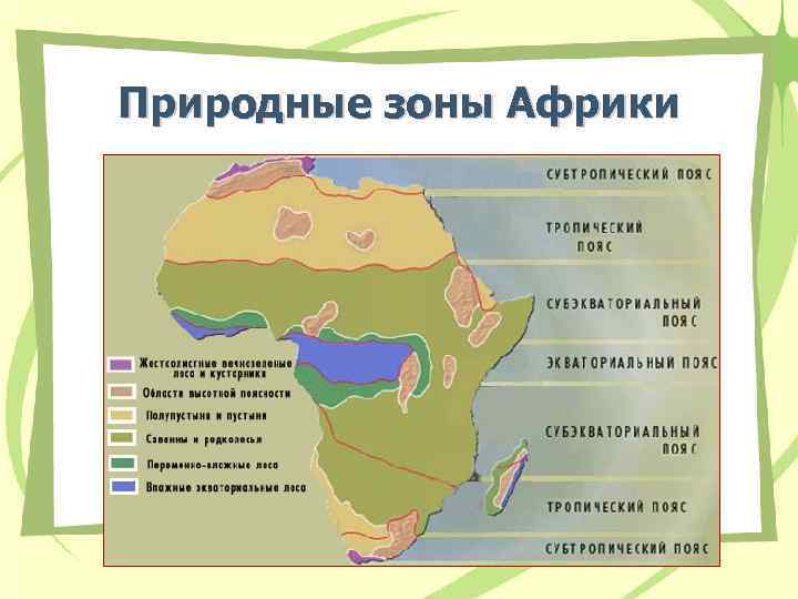 Природные зоны Африки 
