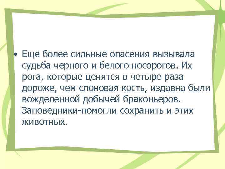  • Еще более сильные опасения вызывала судьба черного и белого носорогов. Их рога,
