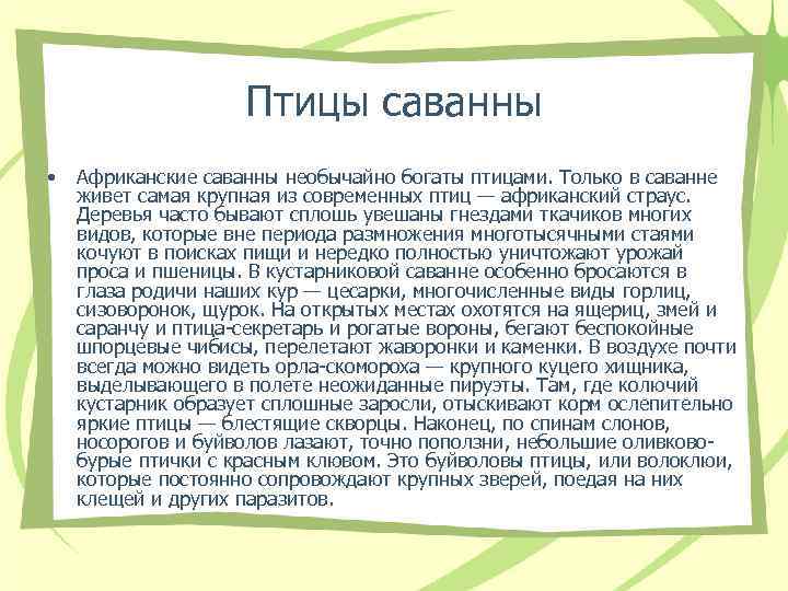Птицы саванны • Африканские саванны необычайно богаты птицами. Только в саванне живет самая крупная