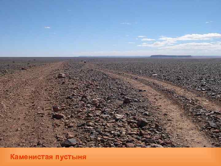  Каменистая пустыня 