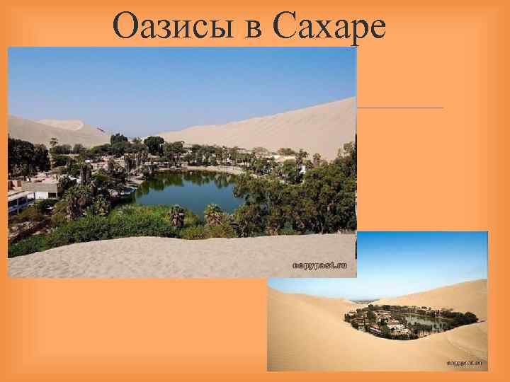 Оазисы в Сахаре 
