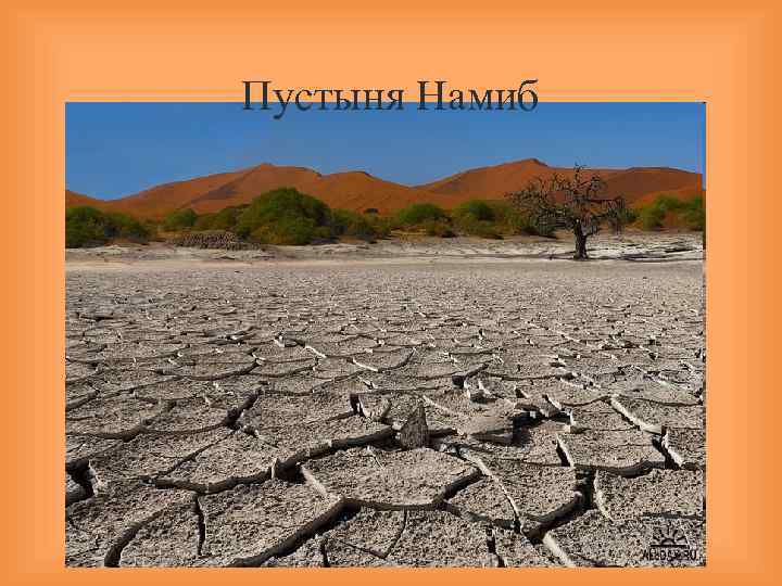 Пустыня Намиб 