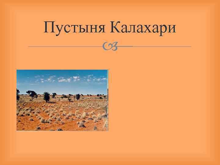 Пустыня Калахари 