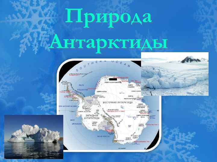 Природа Антарктиды 