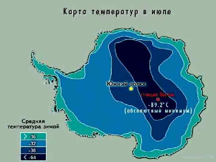 Николаева С. Б. ® 