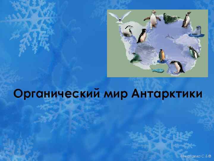 Органический мир Антарктики Николаева С. Б. ® 